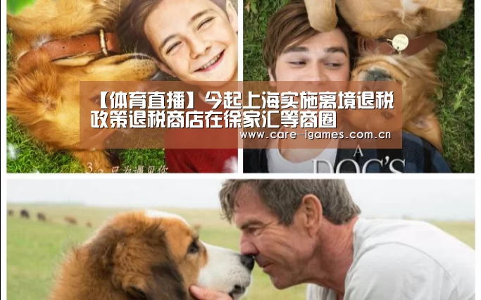 【体育直播】今起上海实施离境退税政策退税商店在徐家汇等商圈(图3) 爱游戏